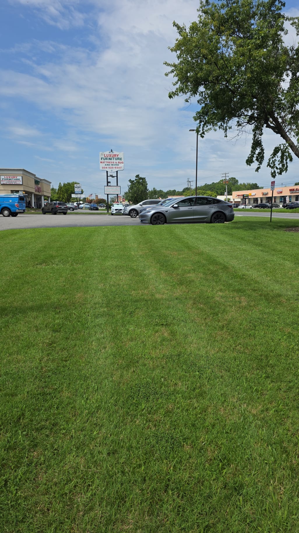 Bank of America Location 1 - Commercial landscaping project
