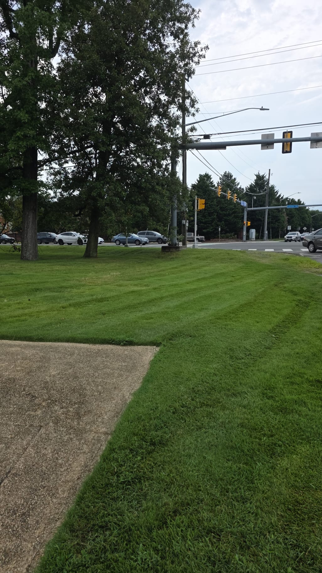 Commercial Intersection Landscape - Commercial landscaping project