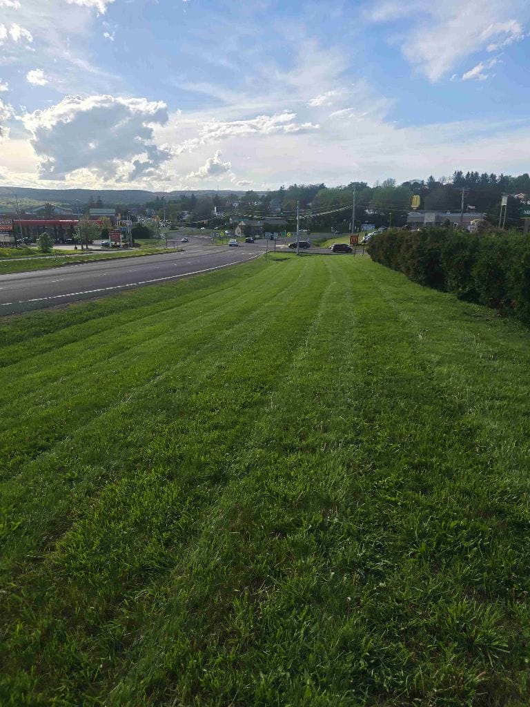 Industrial Area Grounds Care - Commercial landscaping project