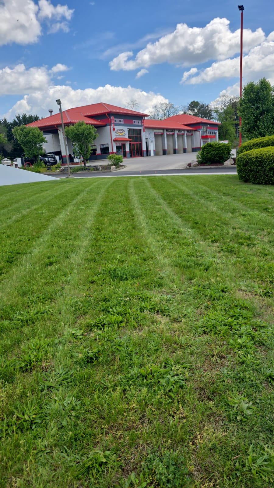 Business Facility Maintenance - Commercial landscaping project
