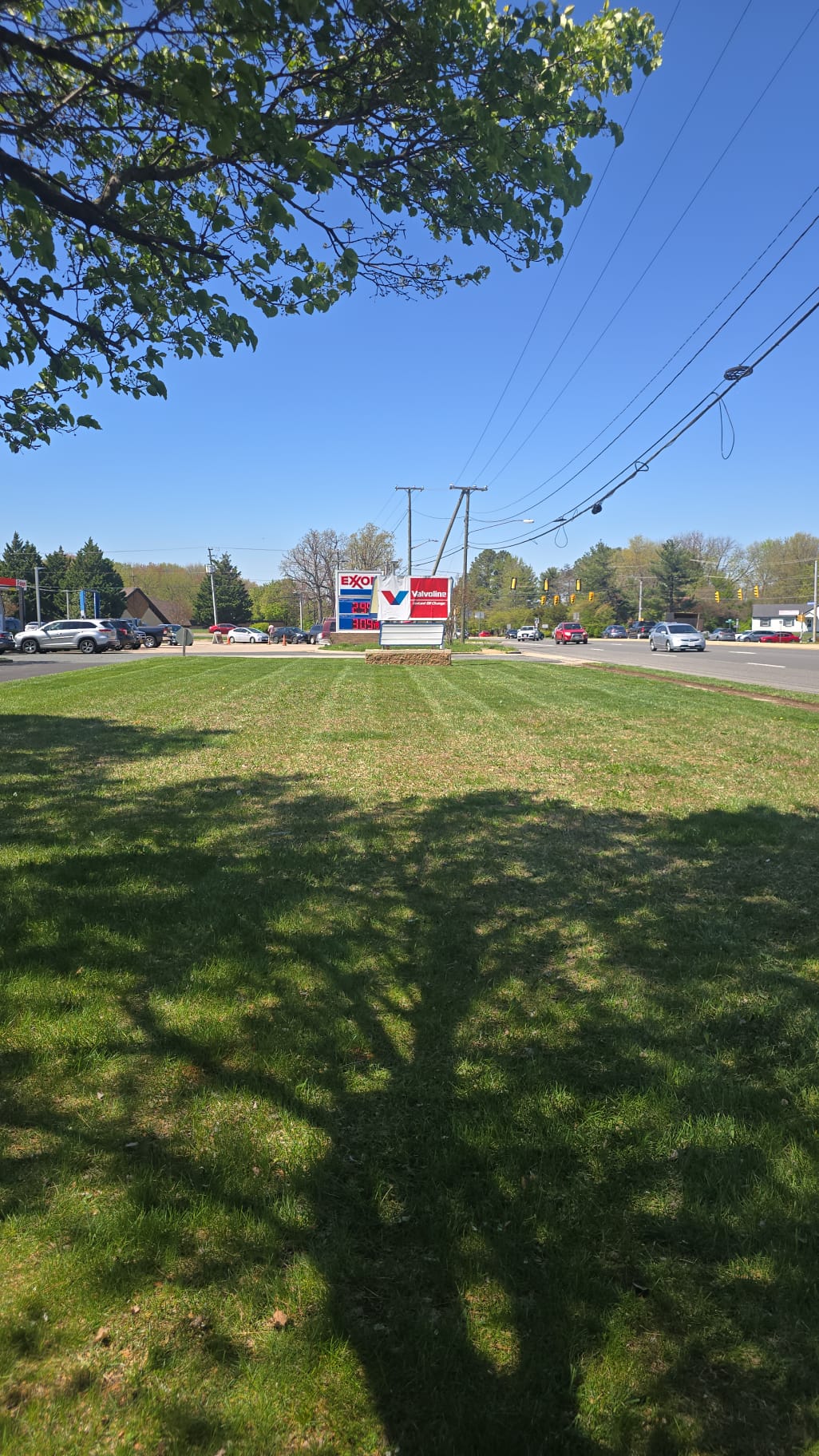 Exxon Commercial Station Grounds - Commercial landscaping project