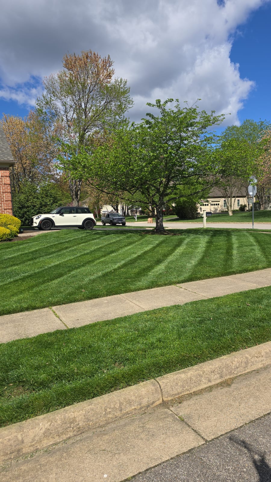 Premium Residential Lawn Care - Residential landscaping project
