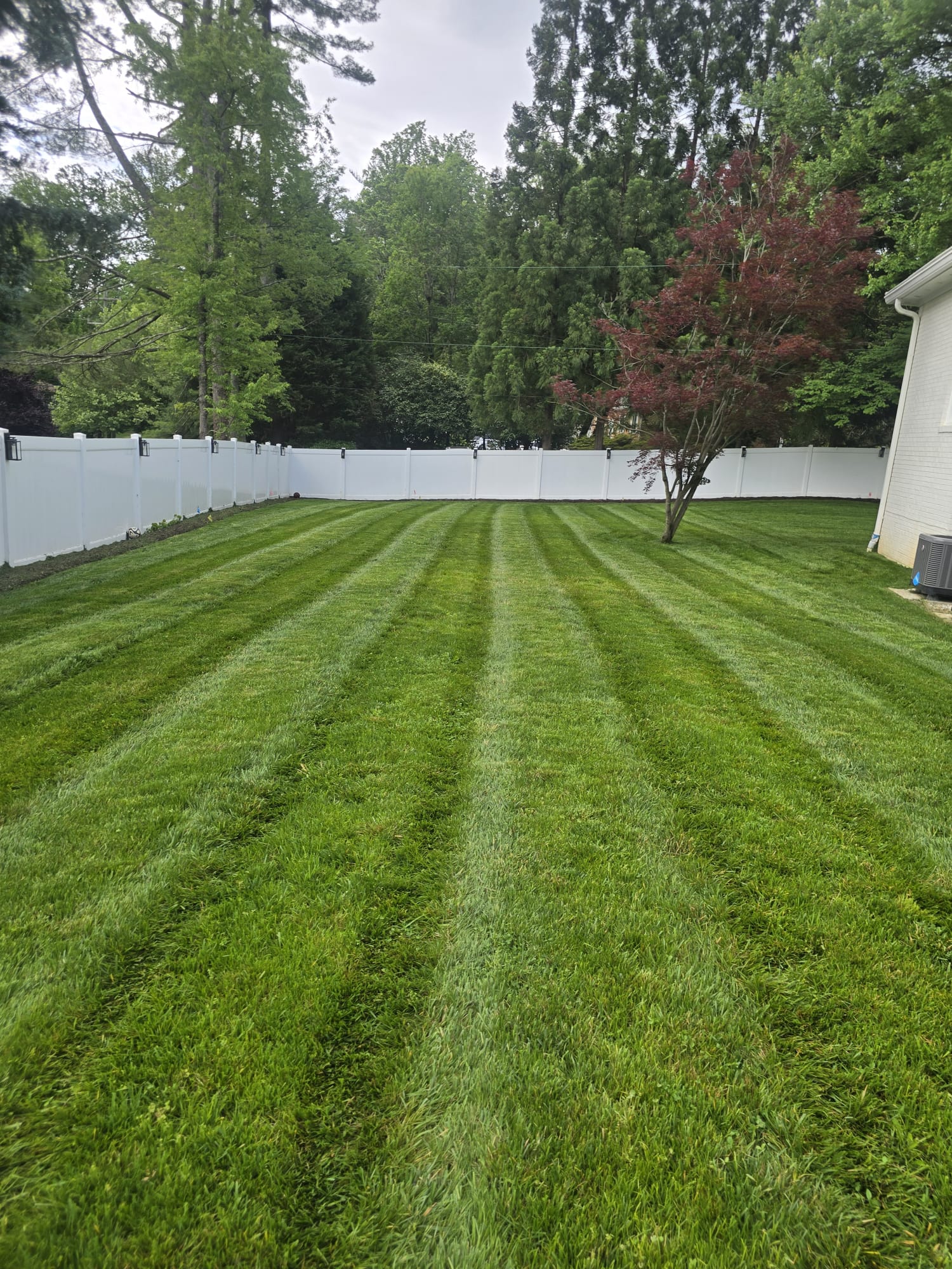 Beautiful landscaped backyard showcasing our professional work